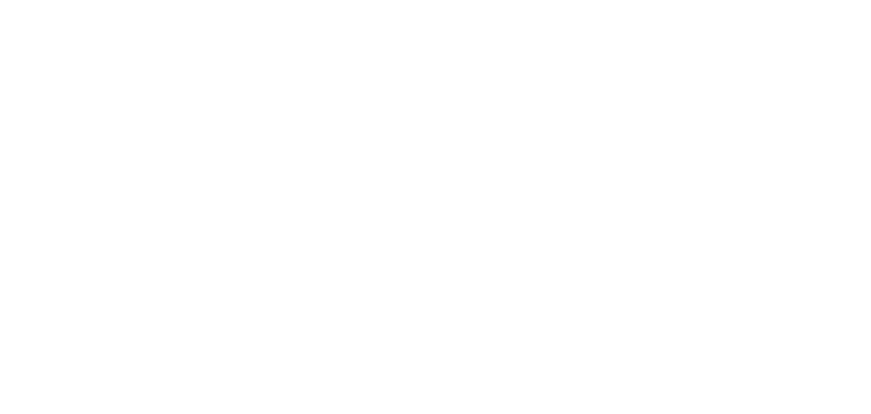 Nova SBE Logo